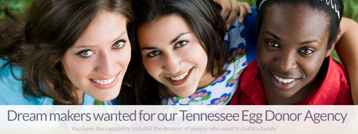 Dream makes wanted for our Tennessee Egg Donor Agency  - You have the capability to fulfill the dreams of people who want to build a family.